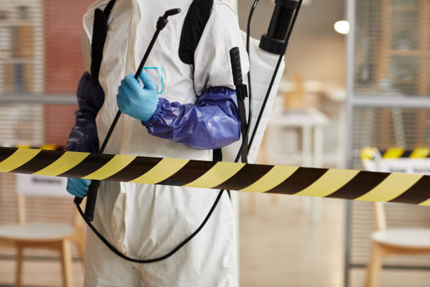 Professional Sewage Cleanup technician working in Rogers, AR